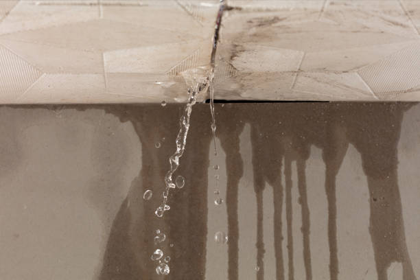 Professional Water Damage Inspection technician working in Naples, TX